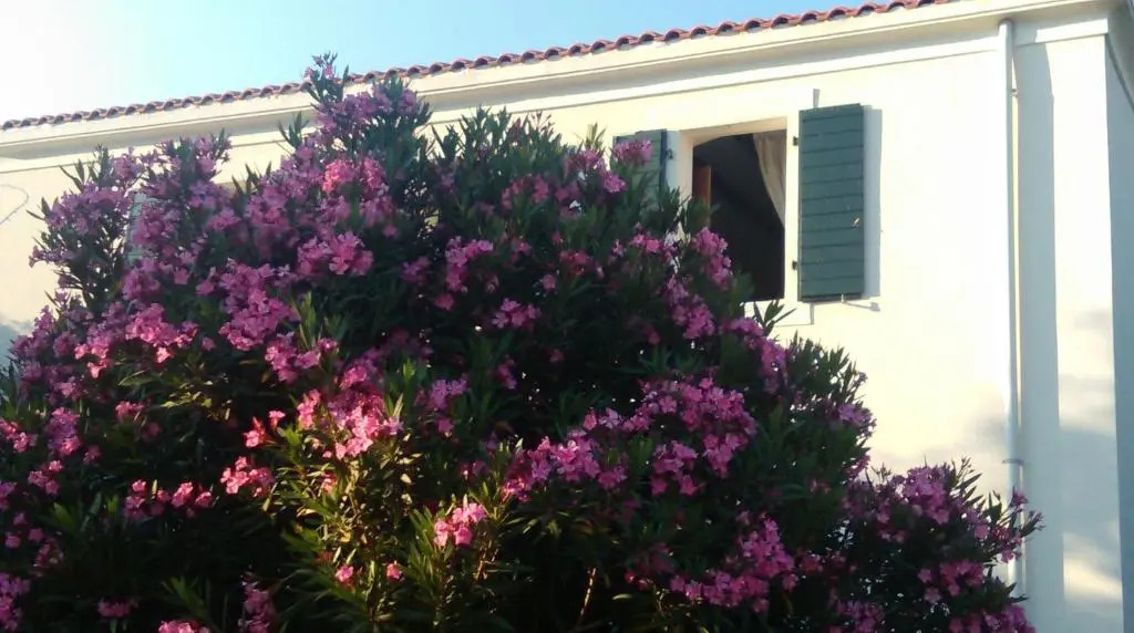 Holiday house KORNIC