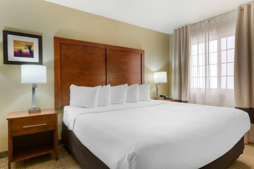 Spark by Hilton Phoenix-Glendale-Peoria