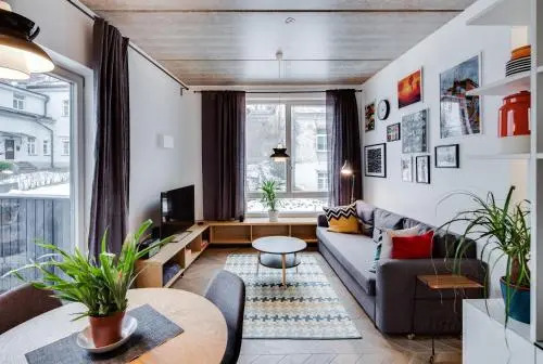 Basanaviciaus apartment
