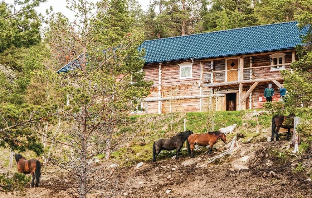 Savalen Hestesenter