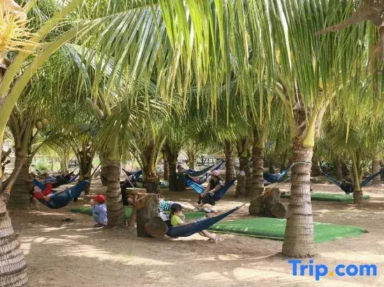 Homestay Coco Island