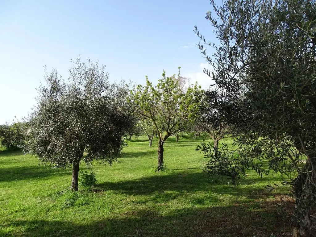 Podere 1248