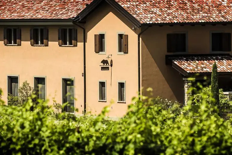 Orsone