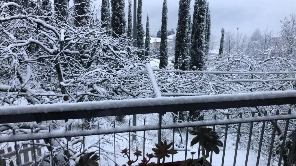 La casa di Nonno