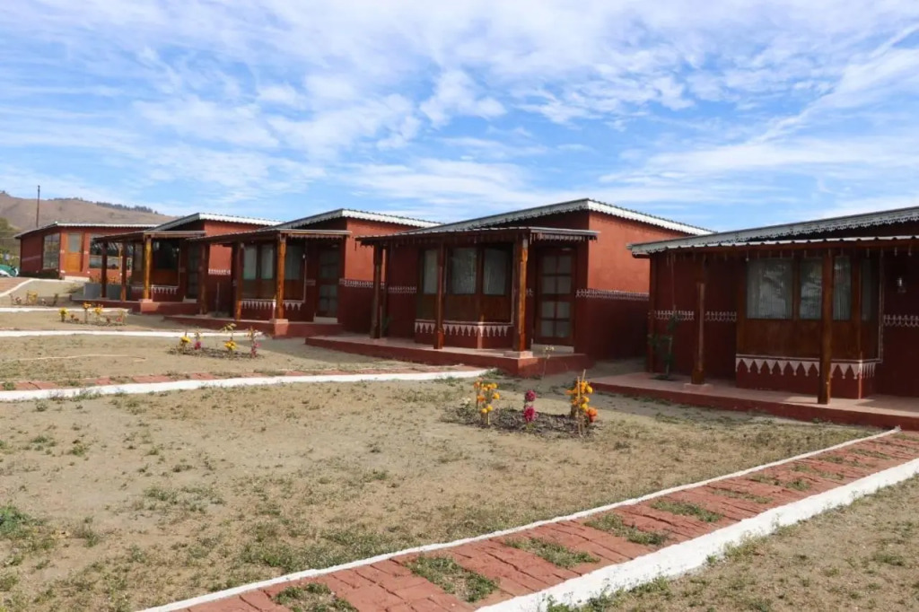 Pinaceae Resort