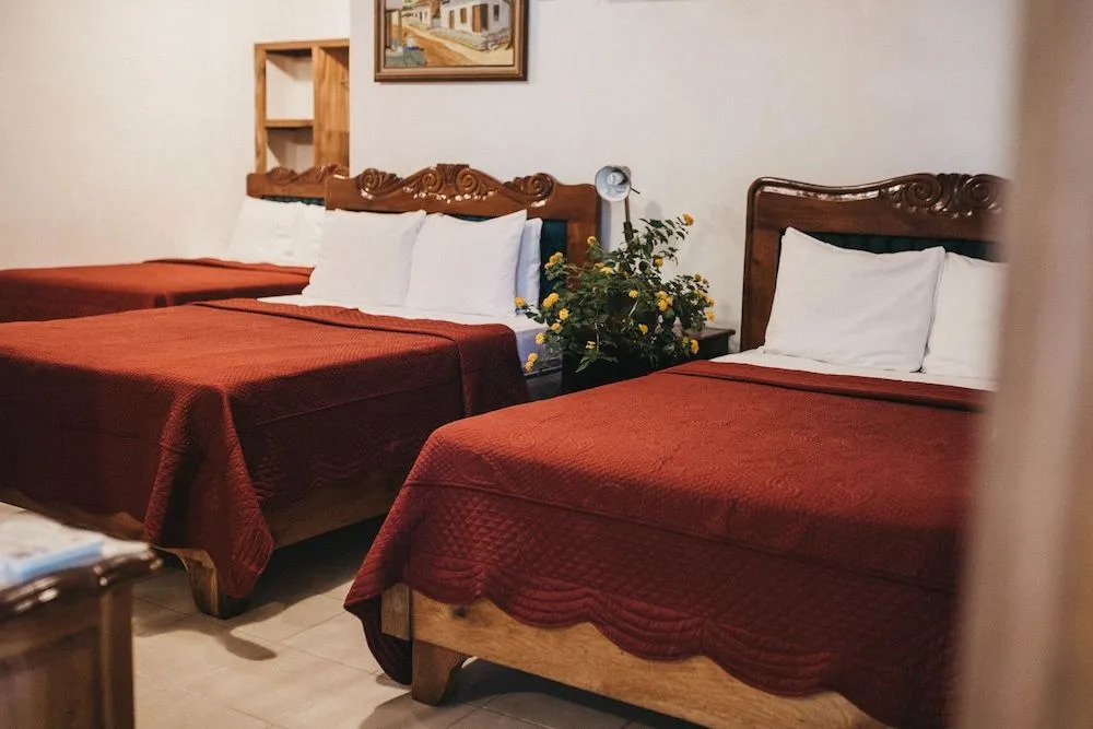 Hotel Javy