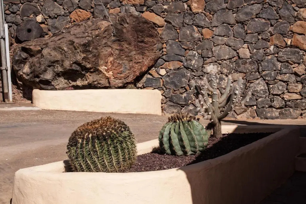Casa Rural Tinamar