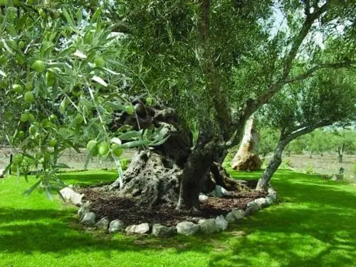 Quinta dos Tesouros