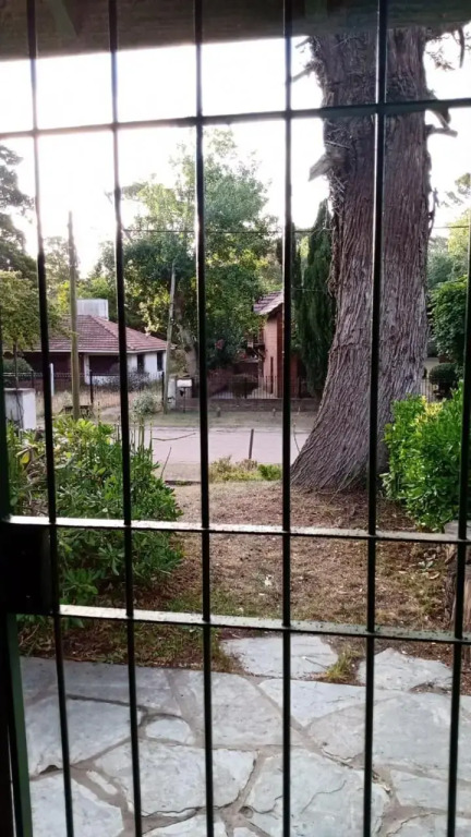 Avenida 6