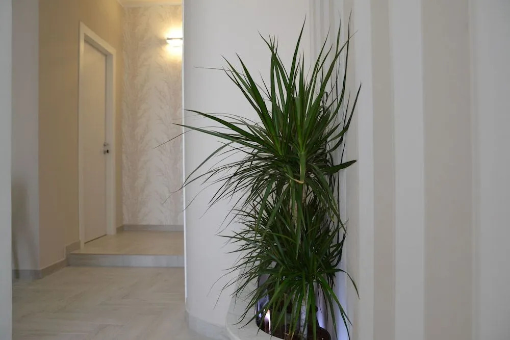 B&B Terra dOriente