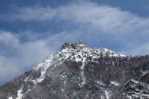 Le Maier
