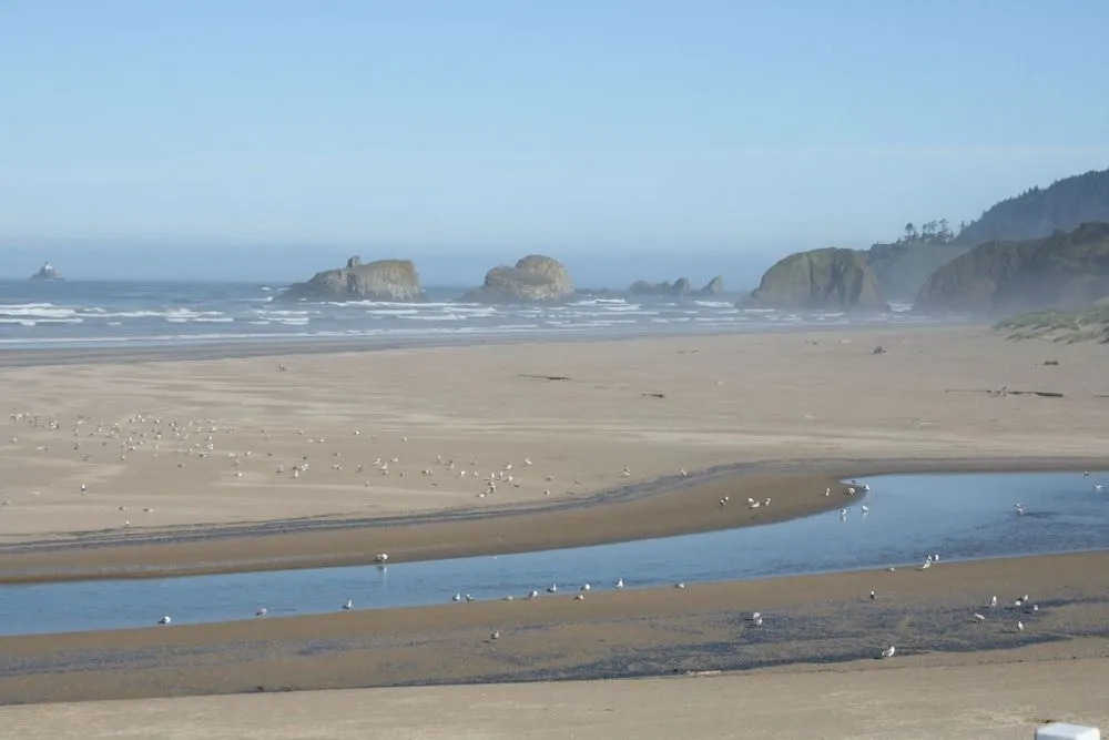 The Waves