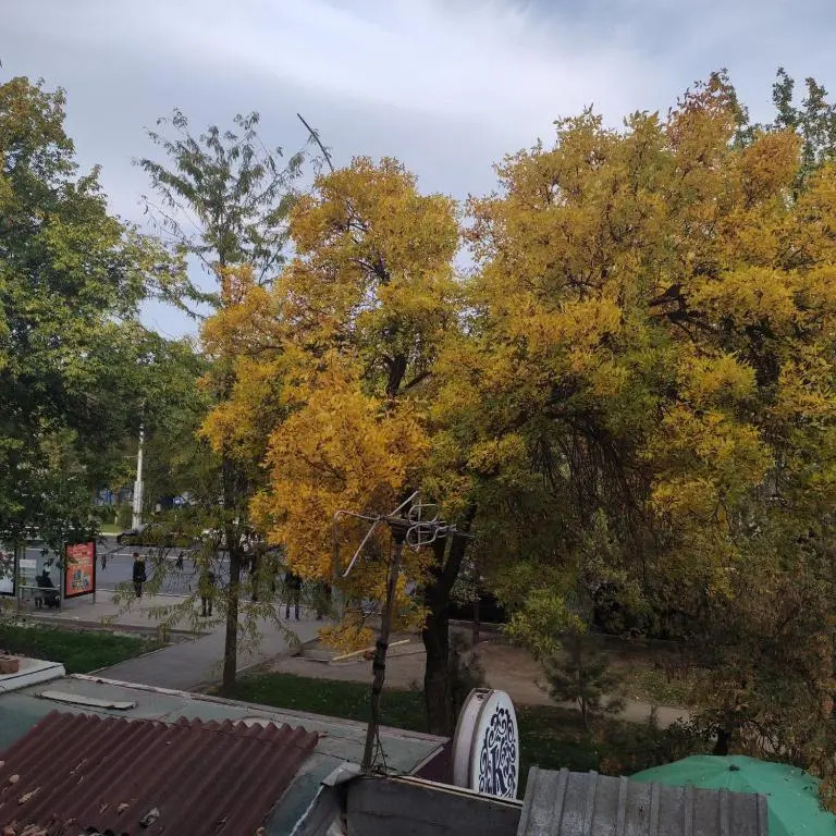 Комфортная квартира для 2х персон