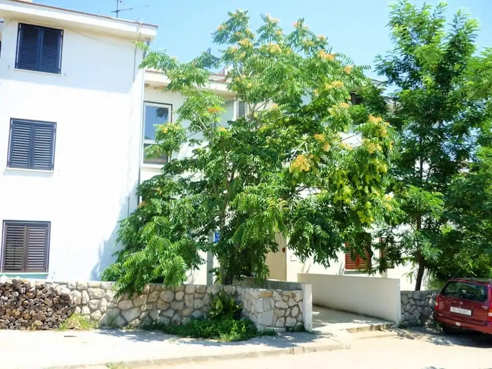 Apartment Dragica