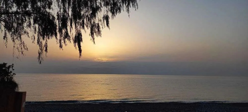 Mert Hotel