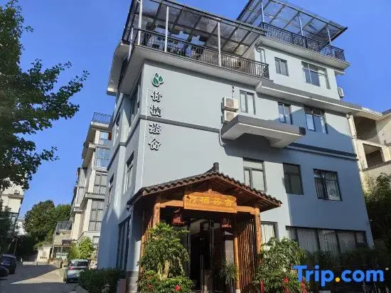 Wuyishan Zhuqi Tea House (Sangu Resort Area)