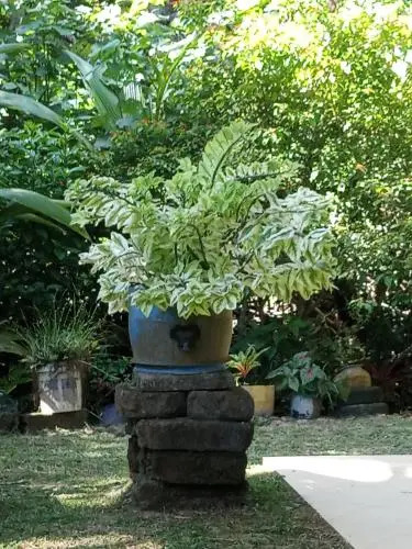 Lagoon Villa Beruwala