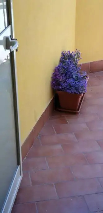 Borgo San Giorgio Apartment