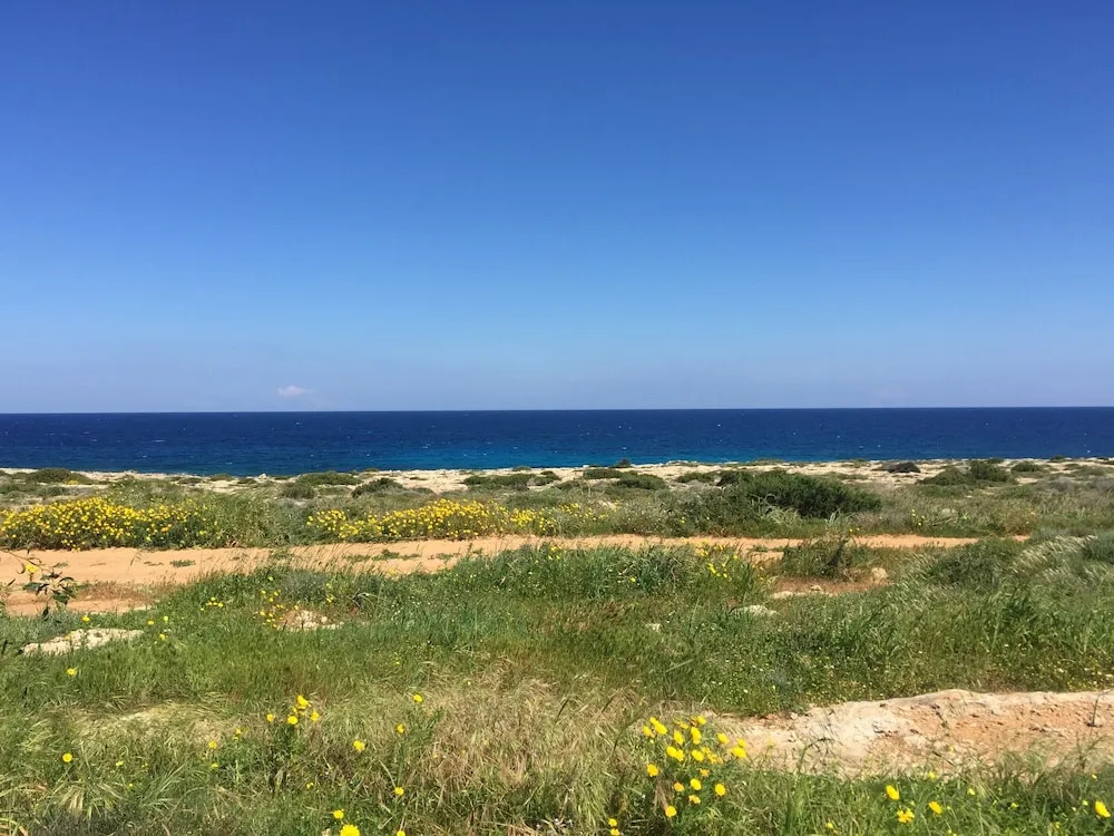 Artisan No 6 First Line Seafront villa
