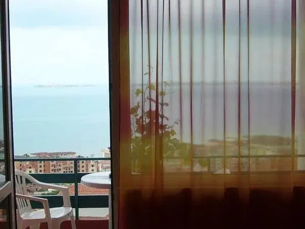 Guest House Amor