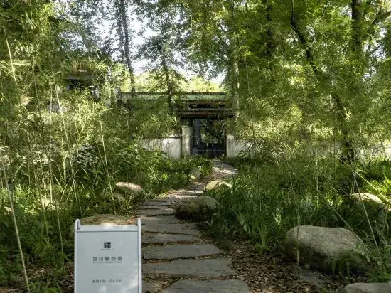 Wangshan Life Fishing Snow Garden Natural Aesthetics Homestay (Huangshan Xixinan Ancient Village)