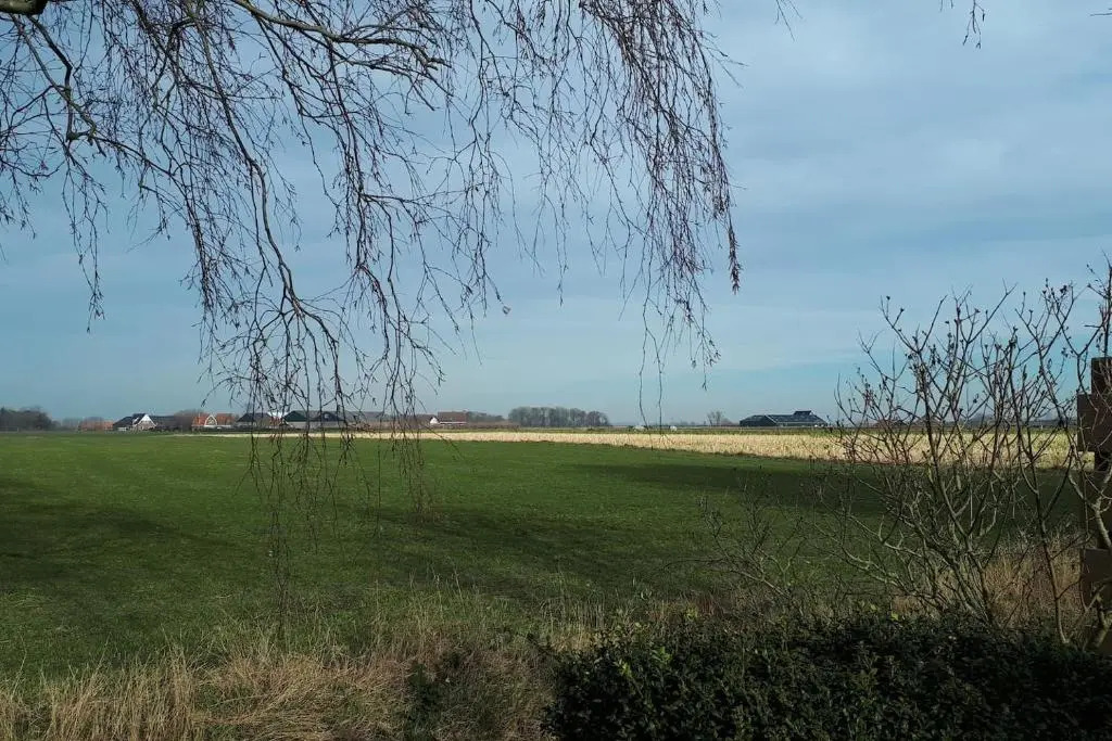Bungalow Groen
