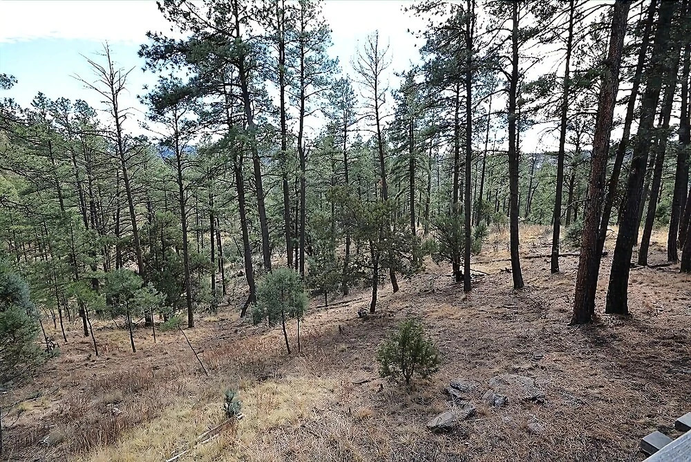 Beckham Hill - Three Bedroom Cabin