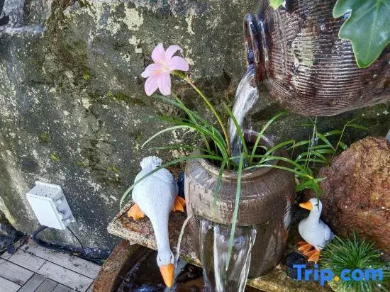Xingyuhai B&B