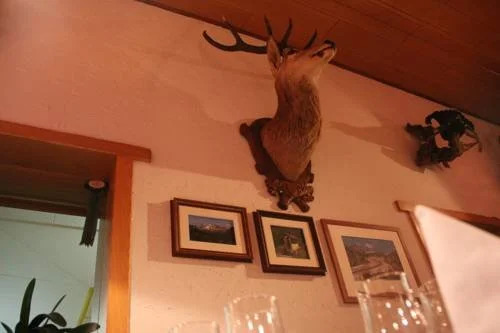 Ristorante Pizzeria La Campagnola