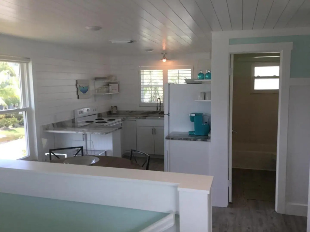 AMI Sand Dollar - 6403 B Holmes