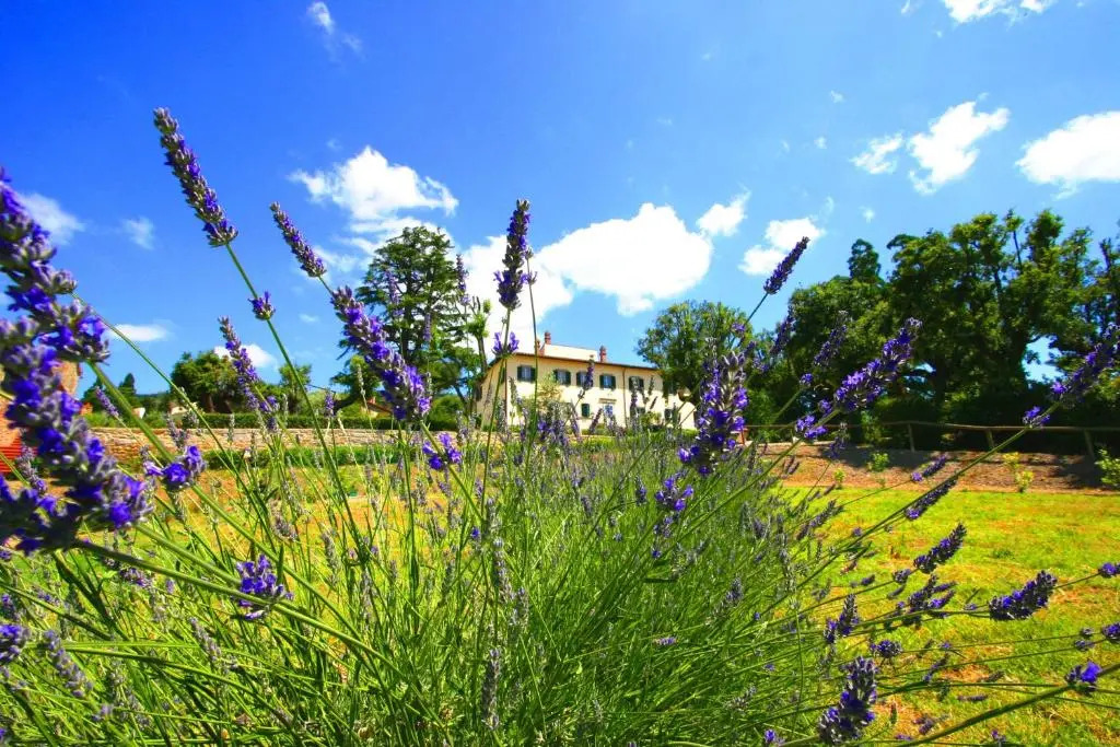 Cortona Resort & Spa
