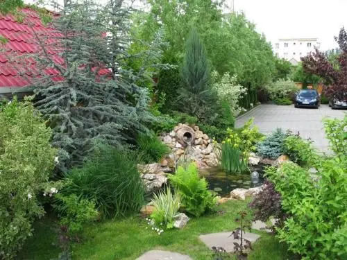 Hotel Oasis
