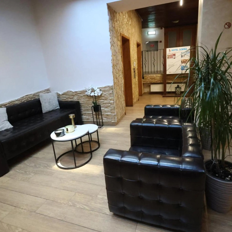 Hotel Soimul