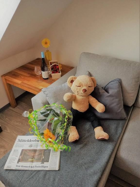 Turmblick-Gaestequartier-Coswig-Hier-erwartet-Sie-individueller-Service-im-Herzen-der-Altstadt