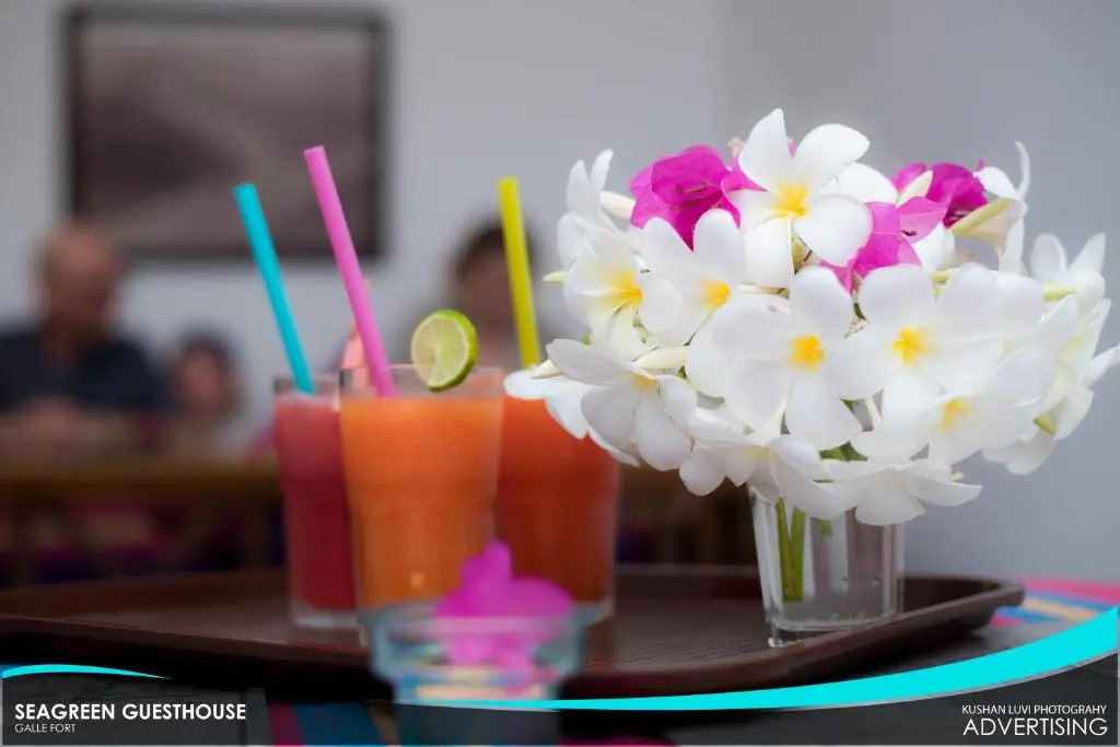 Seagreen Guesthouse - Galle Fort