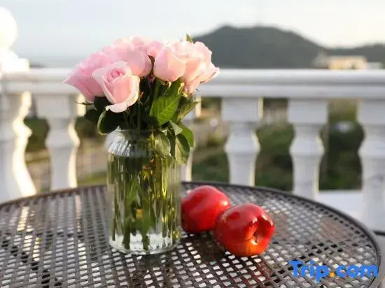 Zhuhai Joy Scenic Apartment (Qi'ao Island)