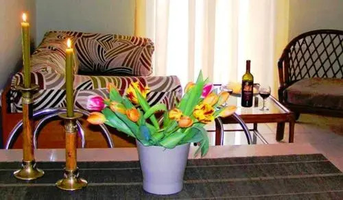 Irini Villa