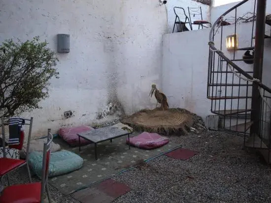 ASARAG GUEST HOUSE, YOGA & Surf