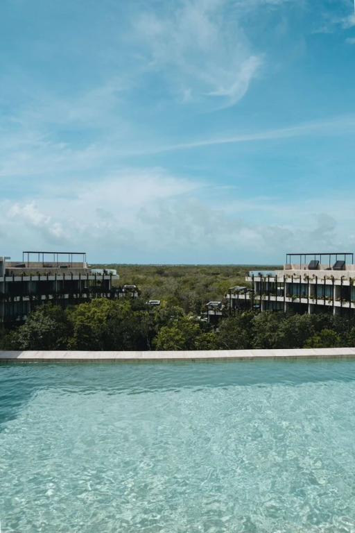 Beautiful Jungle Loft With Rooftop Pool and Gym