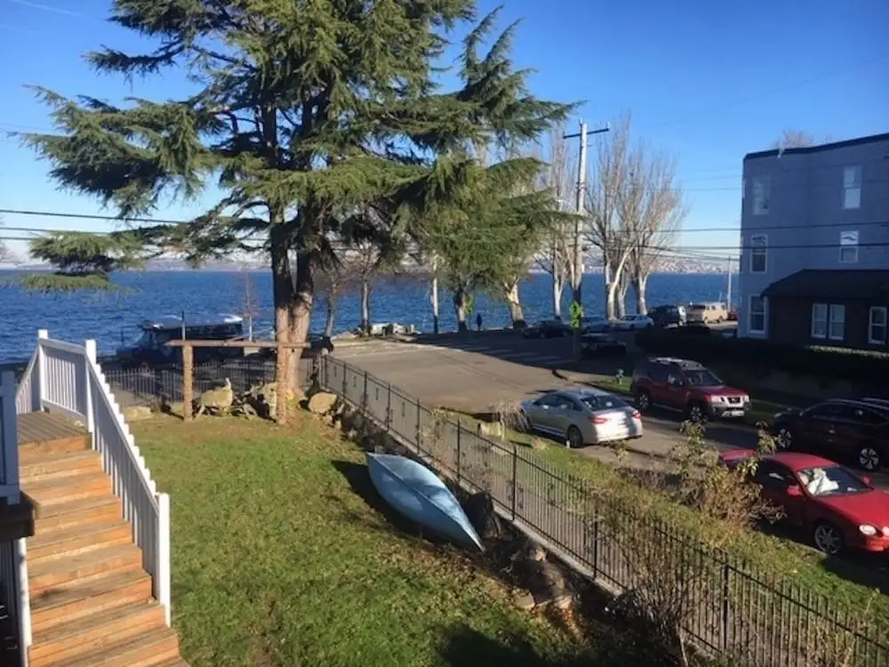 Magpie on Alki