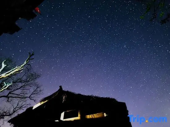 Hongcun knows • Food House B&B (Tachuan Scenic Area)