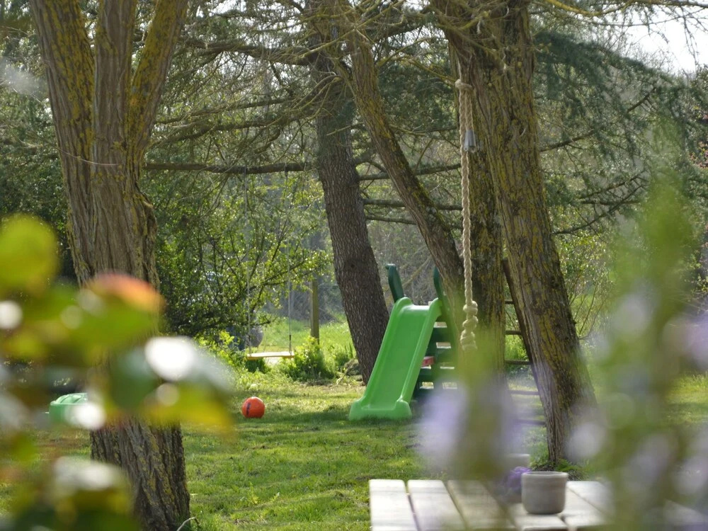 Loire Countryside Escape near Castles
