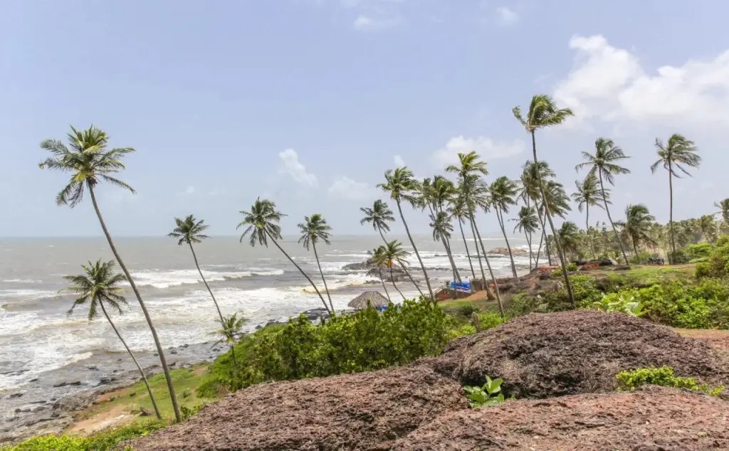 Eufregina Resort & Spa - South Goa
