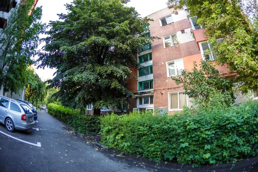 Apartament Family Rivulus 8