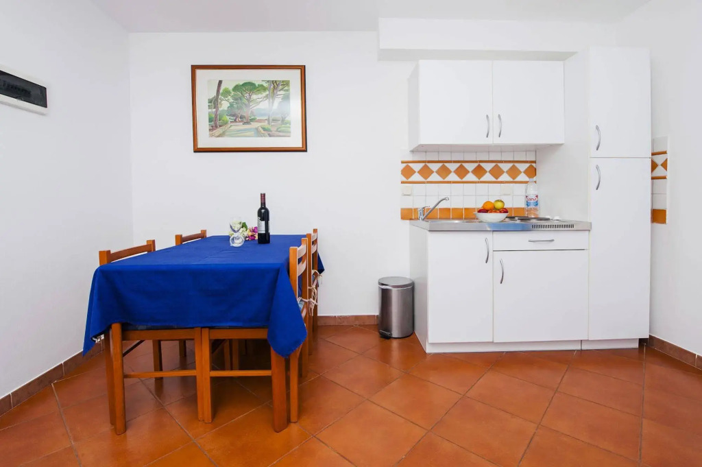 Apartments Villa Borik