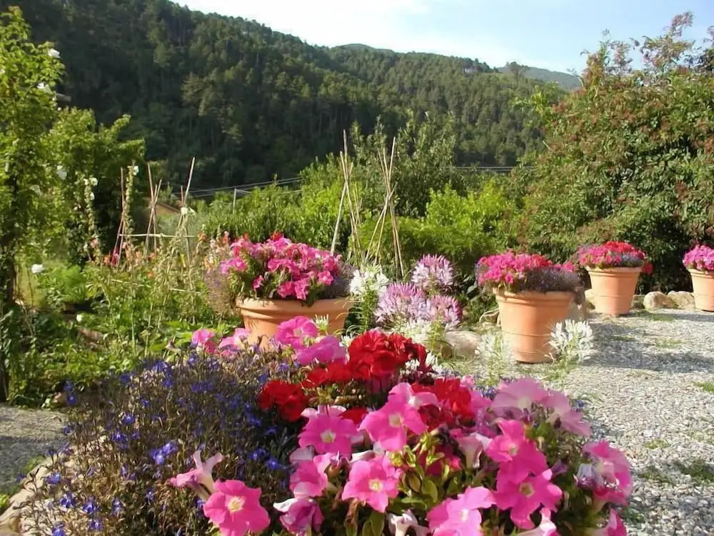 Adorable Tuscan Cottage With Beautiful Garden Just Outside Lucca, Sleeps 2