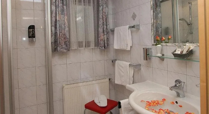 Alphotel Garni Salner