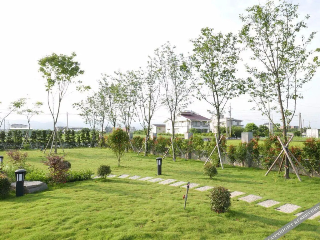 蘭庭 Villa民宿 B&B