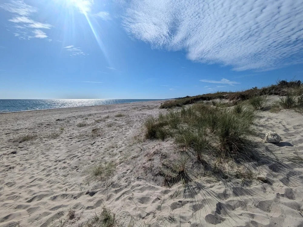 8 person holiday home in Væggerløse