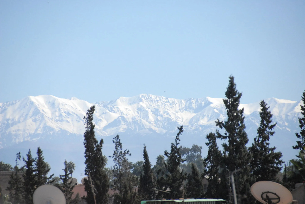 Riad Ajmal
